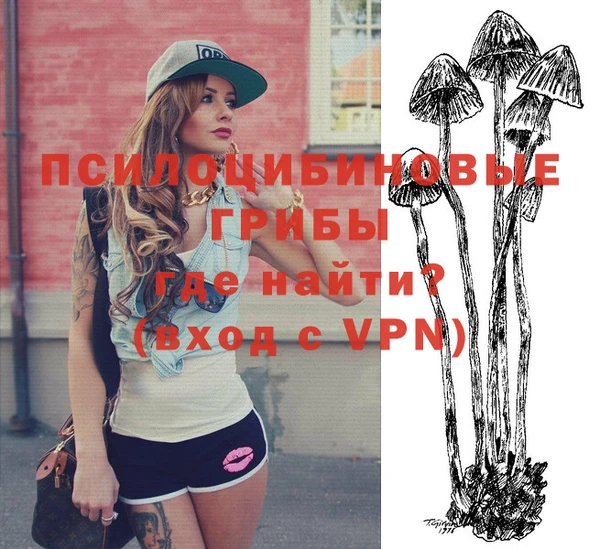 PSILOCYBIN Алзамай