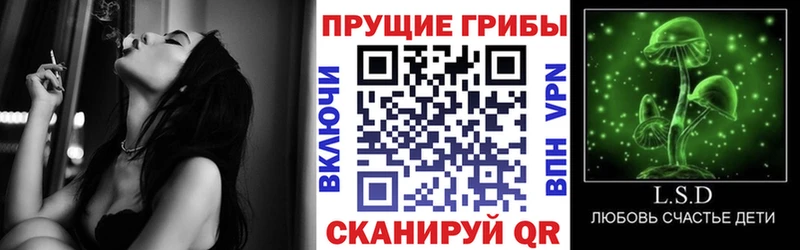OMG маркетплейс  наркота  Ликино-Дулёво  маркетплейс официальный сайт  Галлюциногенные грибы Cubensis 